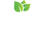 Home - Taliah Waajid Brand